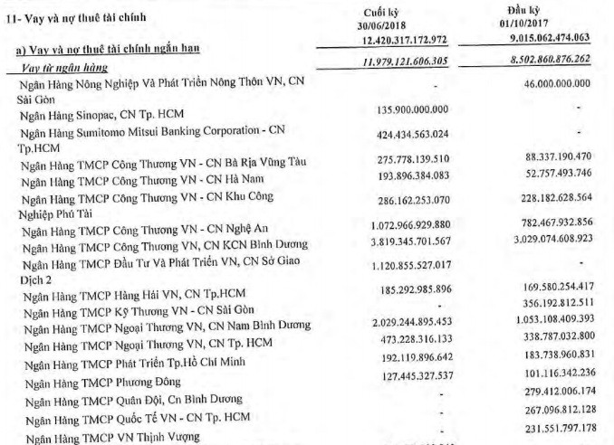 Roi vao no nan, ai se cuu Hoa Sen cua ong Le Phuoc Vu?-Hinh-2