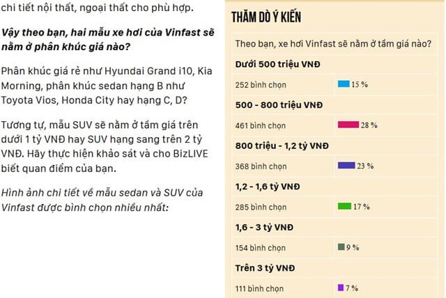 Gia xe VinFast co the tu 1,2 - 1,9 ty dong?-Hinh-3