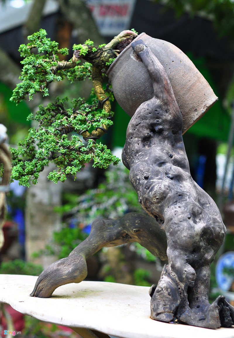 Goc vu sua ky quai gia 120 trieu o hoi thi bonsai-Hinh-6