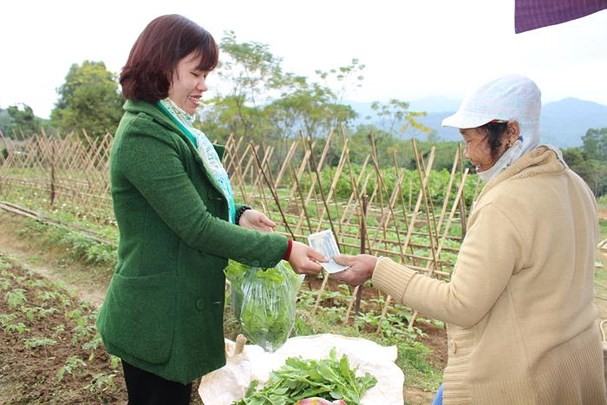 Chuyen hiem thay o Nghe An: Vao tan vuon 