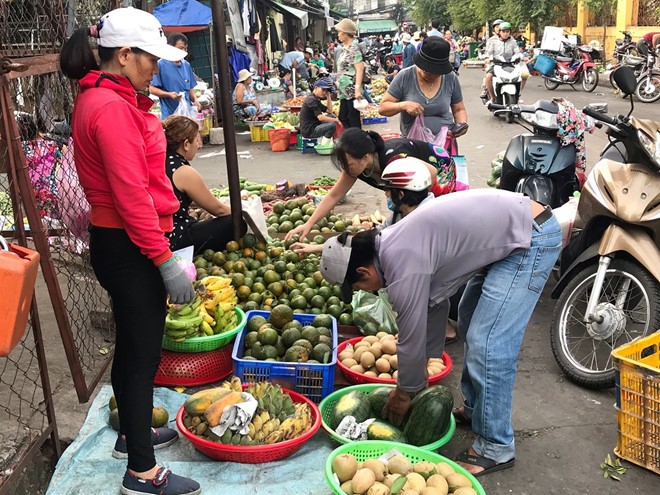 Buoi da xanh, cam sanh gia re dong loat 