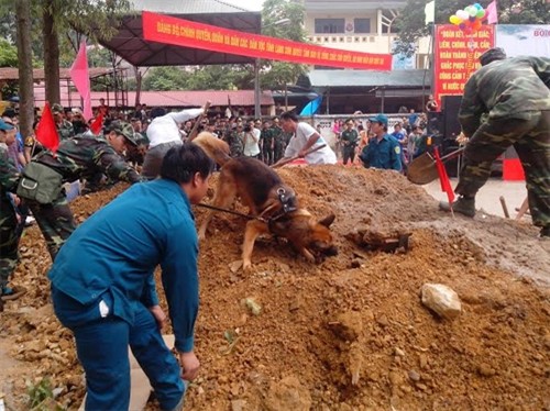 Than phuc vo thuat cua Bo doi Bien phong Viet Nam-Hinh-14