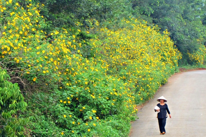 Nhung diem ngam hoa da quy dep khap ca nuoc-Hinh-8