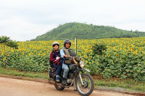 Gioi tre khan goi vao Nghe An “san” hoa huong duong-Hinh-8