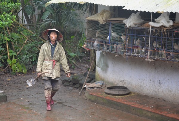 Cuoc song cua 2 chi em nguoi rung giua oc dao hoang vang-Hinh-3