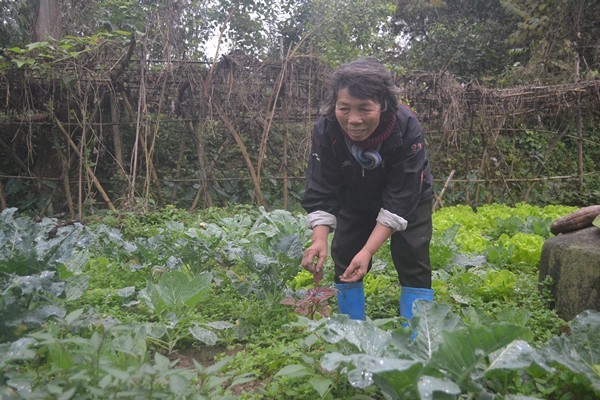 Cuoc song cua 2 chi em nguoi rung giua oc dao hoang vang-Hinh-5