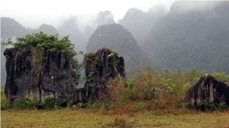 Doan lam phim ‘Kong: Skull Island’ vat va duoi mua rung nhiet doi-Hinh-9