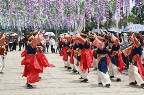 Co gi trong duong ham hoa tu dang tai Ha Noi?-Hinh-5