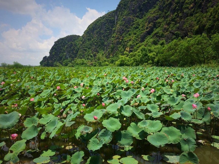 Roi Ha Noi, gioi tre ve homestay giua ho sen tho mong-Hinh-3