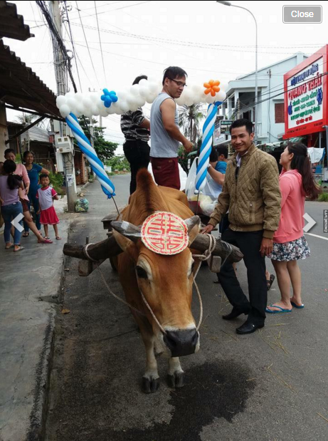 Chang re Tay cuoi xe bo di ruoc dau tai Binh Thuan-Hinh-5