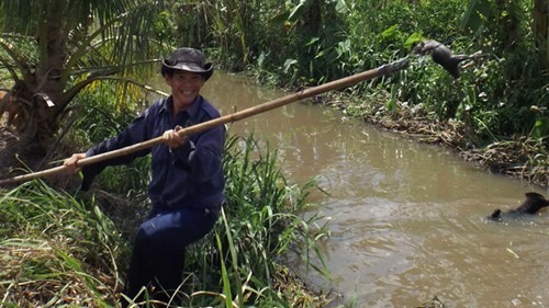 Nguoi dan gong minh san chuot o Dong Thap Muoi-Hinh-2