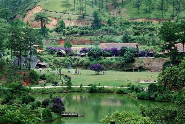 Ngam hoa Po Ra Nhang tim vung troi Da Lat vao thu-Hinh-3