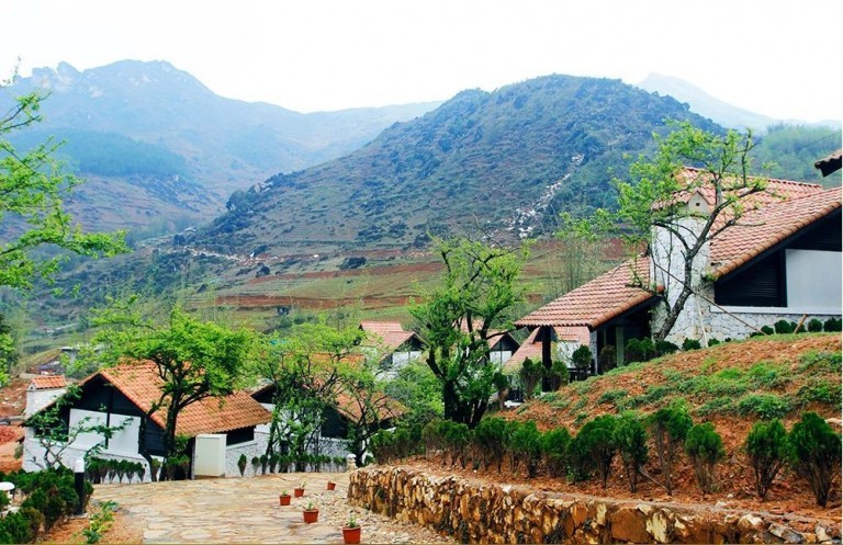 Dam minh trong khung canh suon doi khi du lich Sapa-Hinh-2