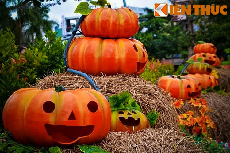 Gioi tre Sai thanh phan khich voi vuon bi ngo “khung” don Halloween