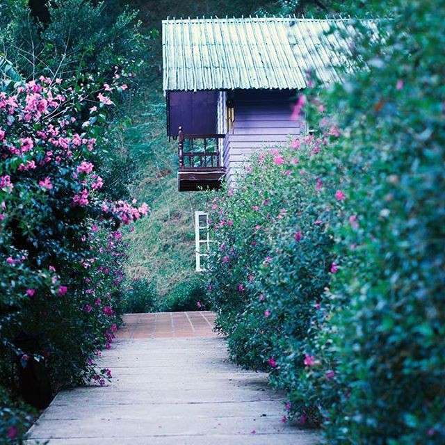 Ngo ngang lac buoc vao “xu so thien duong” tai Da Lat-Hinh-4