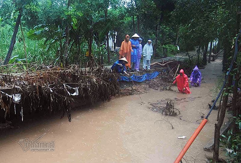 Hang tram ho dan tai Quang Binh lai ngap trong lu-Hinh-5