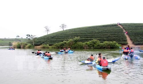 Dao che Nghe An, diem check-in xanh muot cho dan phuot-Hinh-7