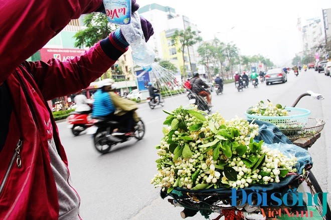 Hoa buoi xuong pho, moi chum hoa dat ngang bat pho-Hinh-18