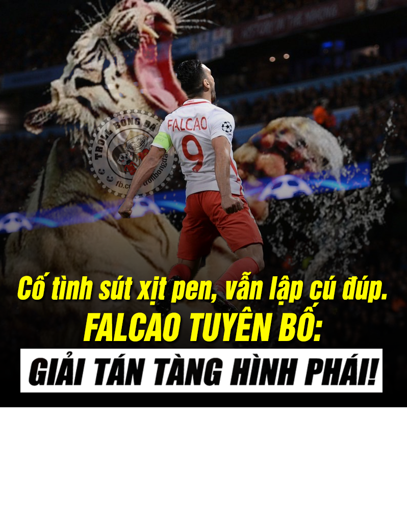 Anh che bong da: Falcao tuyen bo gia tu phai tang hinh-Hinh-3