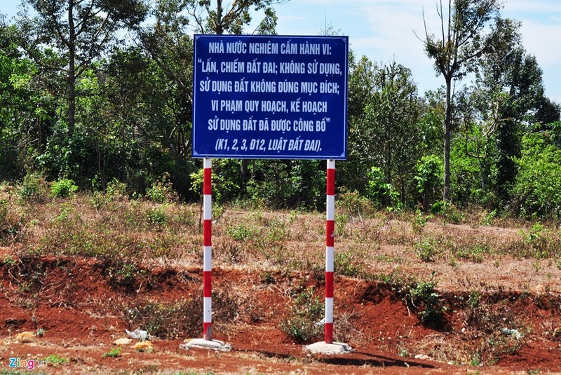 Anh: Bien rao ban dat tren cay doc duong vanh dai Buon Ma Thuot-Hinh-2