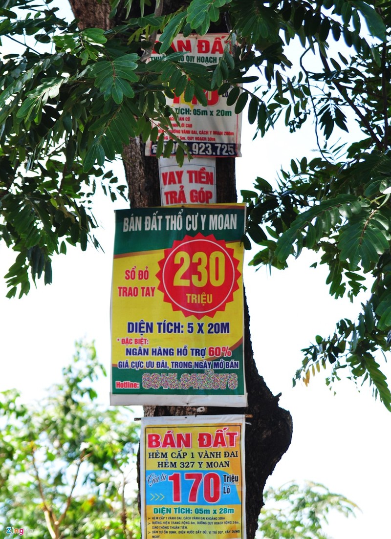 Anh: Bien rao ban dat tren cay doc duong vanh dai Buon Ma Thuot-Hinh-4