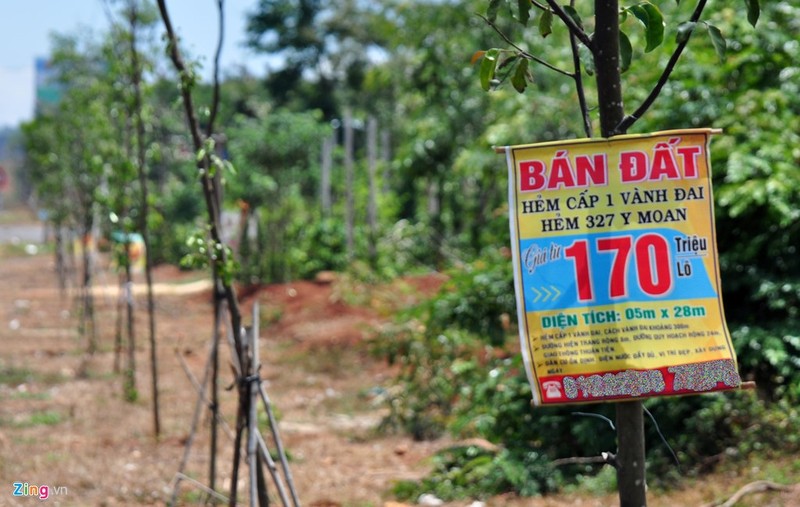 Anh: Bien rao ban dat tren cay doc duong vanh dai Buon Ma Thuot-Hinh-5