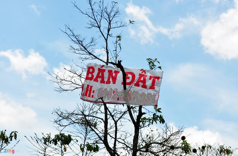 Anh: Bien rao ban dat tren cay doc duong vanh dai Buon Ma Thuot-Hinh-6