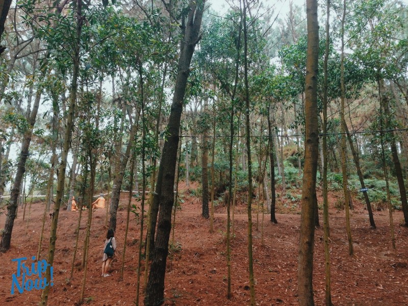 Ban Rom - khu du lich “hut hon” gioi tre dip nghi le 2/9