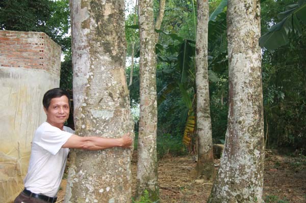 Lam giau o nong thon: Mot cay doi doi ca...chi vang-Hinh-5