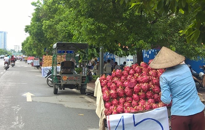 Dan mang lat tay chieu ban hang rong tuong re lai hoa dat-Hinh-10