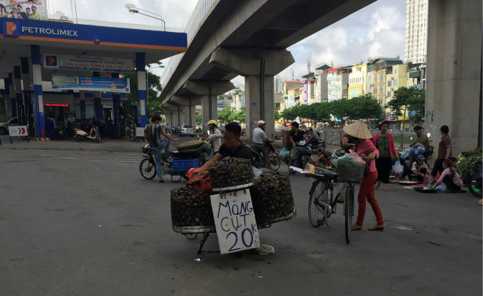 Dan mang lat tay chieu ban hang rong tuong re lai hoa dat-Hinh-9