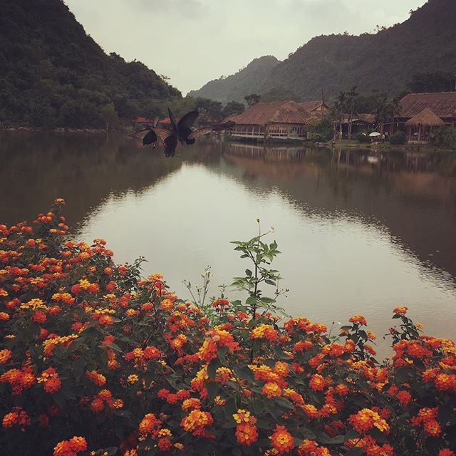 &quot;Lac troi&quot; truoc canh dep Thung Nham dip cuoi tuan-Hinh-3