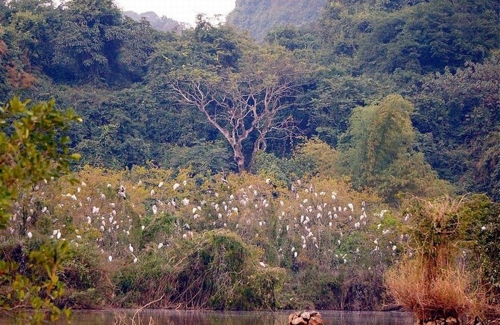 &quot;Lac troi&quot; truoc canh dep Thung Nham dip cuoi tuan-Hinh-7