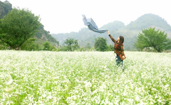 Moc Chau bung sang tinh khoi voi canh dong cai trang tuyet dep-Hinh-9