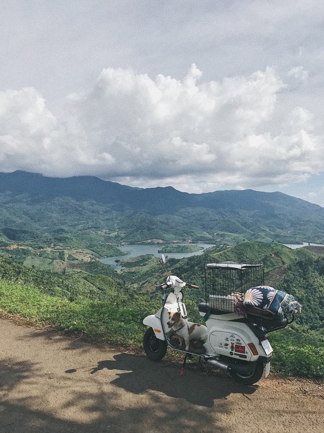 Chang trai Sai Gon cung cho cung di phuot khap muon noi-Hinh-6