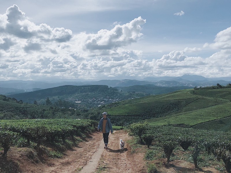 Chang trai Sai Gon cung cho cung di phuot khap muon noi-Hinh-8