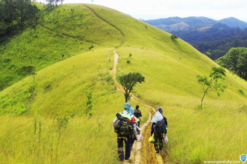 Soc nang khi biet su that nay luc du lich trekking-Hinh-9