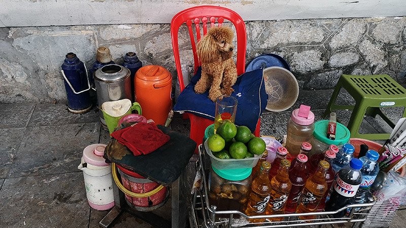 Dan mang thich thu voi hinh anh nguoi Ha Noi day muon khong bao gio biet-Hinh-8