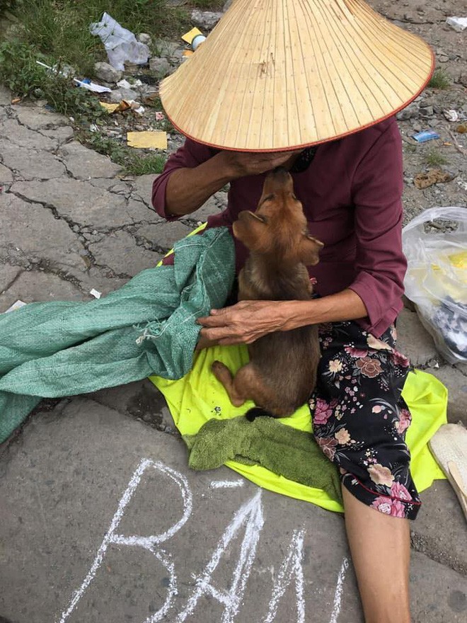 CDM xot xa truoc nu hon tu biet cua ba cu ngheo voi chu cho-Hinh-6