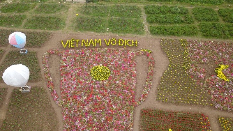 Da mat ngam vuon hoa hinh cup vo dich co vu DT Viet Nam-Hinh-4