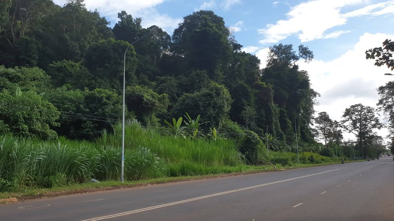 Truyen thuyet giu rung cua “ngon doi tinh yeu” o cao nguyen