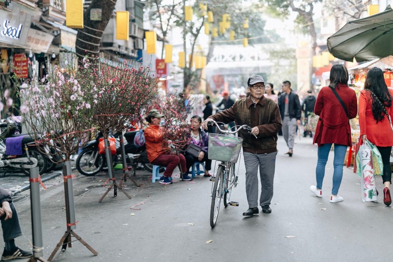 Gioi tre thich thu voi phien cho hoa Tet lau doi nhat o Ha Noi-Hinh-5