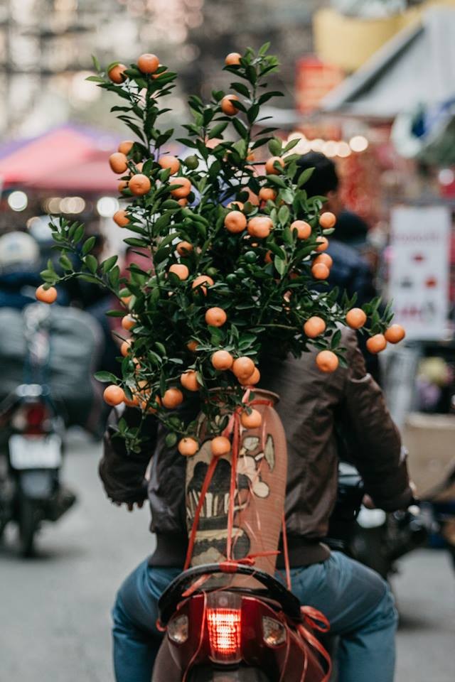 Gioi tre thich thu voi phien cho hoa Tet lau doi nhat o Ha Noi-Hinh-9