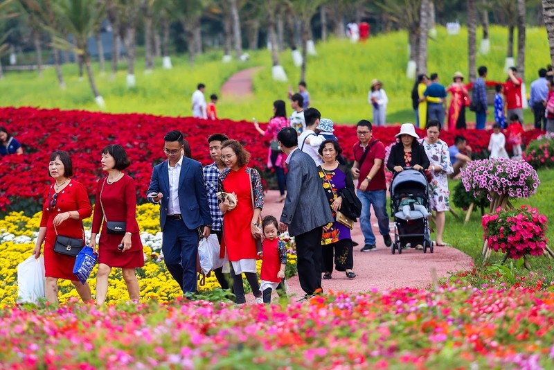 Le hoi hoa xuan Ecopark: Khong hop gia dinh tre nho, gia ca dat 