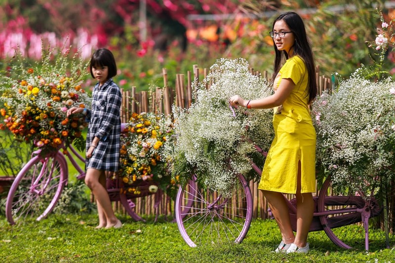 Le hoi hoa xuan Ecopark: Khong hop gia dinh tre nho, gia ca dat 