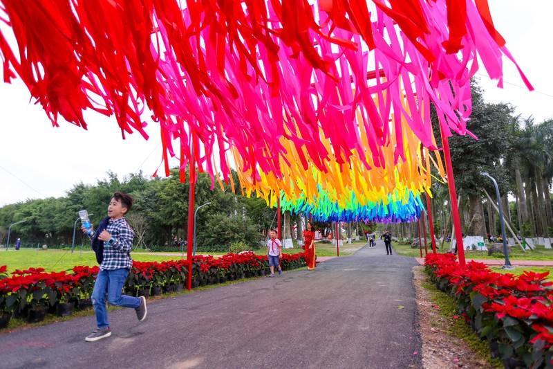 Le hoi hoa xuan Ecopark: Khong hop gia dinh tre nho, gia ca dat 