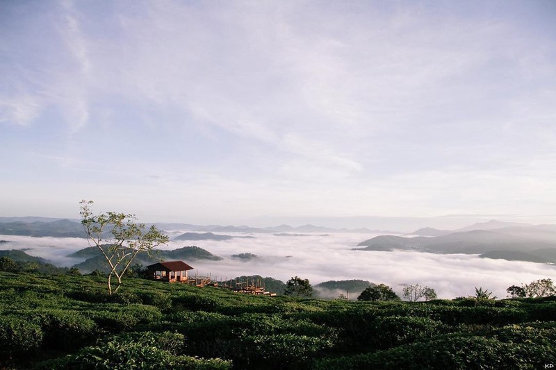 Dan mang tiec hui hui cau go san may Da Lat bi dong cua-Hinh-10