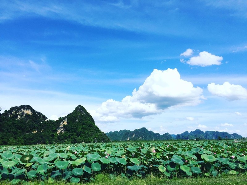 Gioi tre nuom nuop toi check in tai dam sen dep chang kem “tien canh