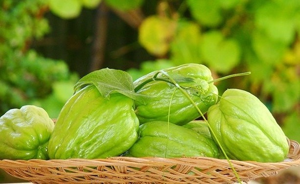 Loai qua vua bo, vua chua nhieu benh the nay ma nhieu nguoi khong biet