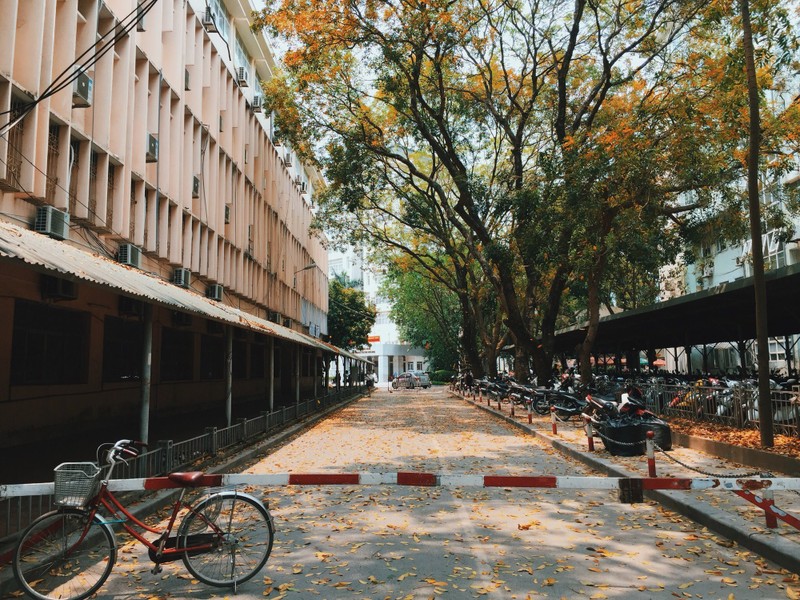 4 nam chup 300.000 anh ve truong, nam sinh khoa Luat khien ai cung boi hoi-Hinh-7